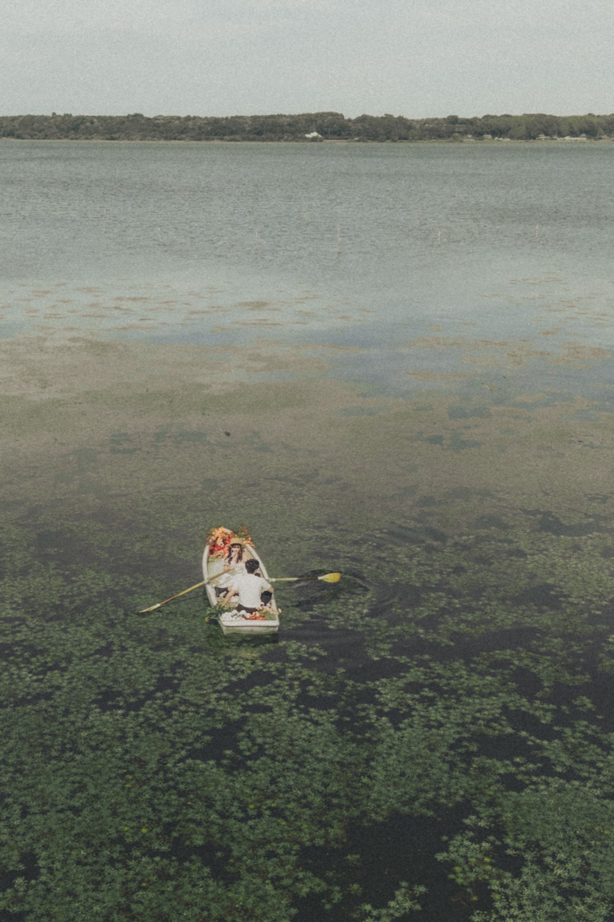 印旛沼の広い水面と水草の中を進む花のボート